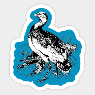 Bird Sticker